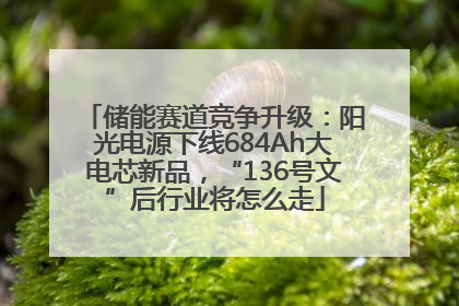 储能赛道竞争升级：阳光电源下线684Ah大电芯新品，“136号文”后行业将怎么走