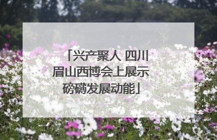 兴产聚人 四川眉山西博会上展示磅礴发展动能