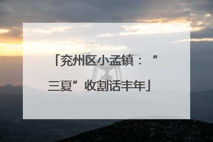 兖州区小孟镇：“三夏”收割话丰年