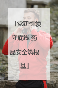 党建引领守底线 药品安全筑根基