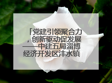 党建引领聚合力，创新驱动促发展——中建五局淄博经济开发区沣水镇高西村安置项目建设纪实