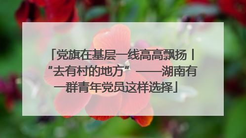 党旗在基层一线高高飘扬丨“去有村的地方”——湖南有一群青年党员这样选择