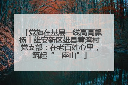 党旗在基层一线高高飘扬丨雄安新区雄县黄湾村党支部：在老百姓心里，筑起“一座山”