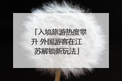 入境旅游热度攀升 外国游客在江苏解锁新玩法