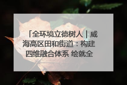 全环境立德树人｜威海高区田和街道：构建四维融合体系 绘就全环境立德树人新画卷