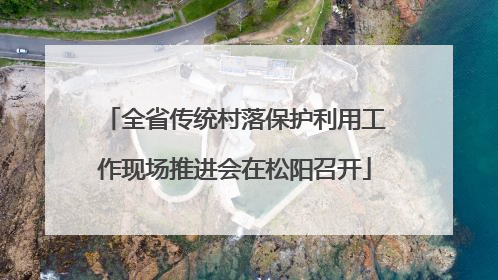 全省传统村落保护利用工作现场推进会在松阳召开