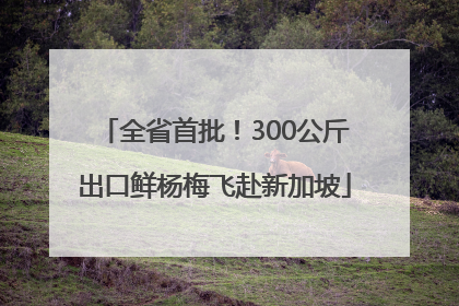 全省首批！300公斤出口鲜杨梅飞赴新加坡