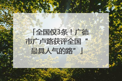 全国仅3条！广德市广卢路获评全国“最具人气的路”