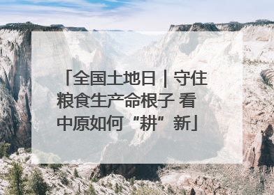 全国土地日｜守住粮食生产命根子 看中原如何“耕”新