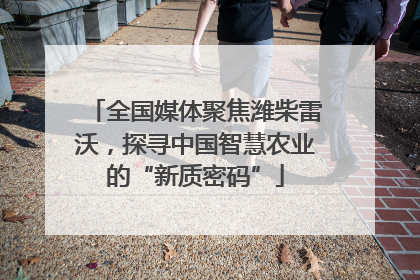 全国媒体聚焦潍柴雷沃，探寻中国智慧农业的“新质密码”