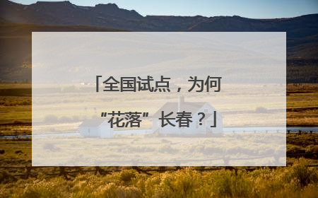 全国试点，为何“花落”长春？