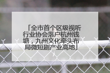 全市首个区级视听行业协会落户杭州钱塘，九州文化牵头布局微短剧产业高地