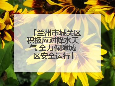 兰州市城关区积极应对降水天气 全力保障城区安全运行