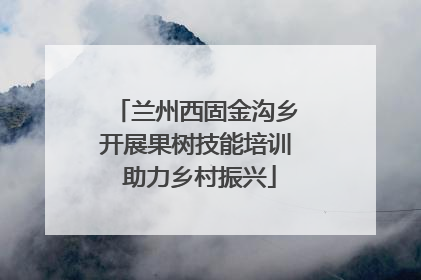 兰州西固金沟乡开展果树技能培训 助力乡村振兴