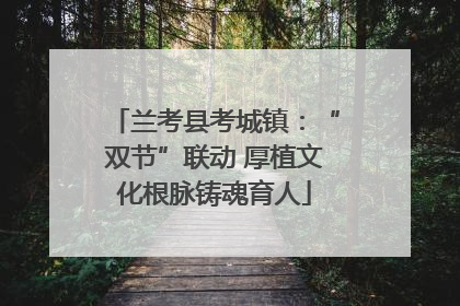 兰考县考城镇：“双节”联动 厚植文化根脉铸魂育人