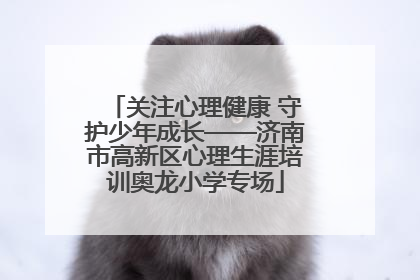 关注心理健康 守护少年成长——济南市高新区心理生涯培训奥龙小学专场
