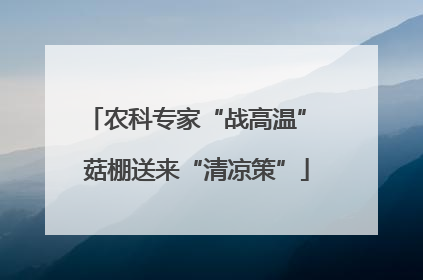 农科专家“战高温” 菇棚送来“清凉策”