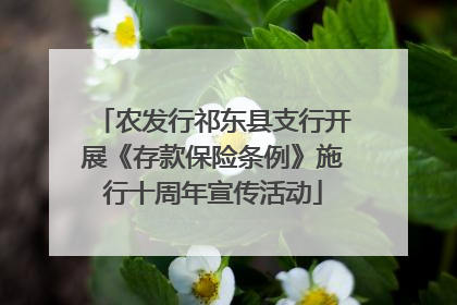 农发行祁东县支行开展《存款保险条例》施行十周年宣传活动