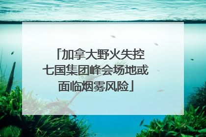 加拿大野火失控 七国集团峰会场地或面临烟雾风险