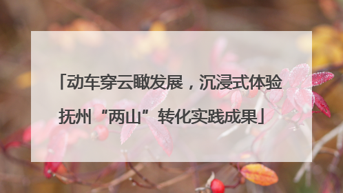 动车穿云瞰发展，沉浸式体验抚州“两山”转化实践成果