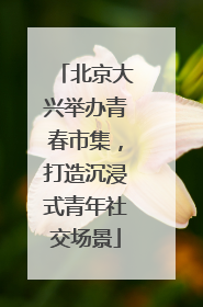 北京大兴举办青春市集，打造沉浸式青年社交场景