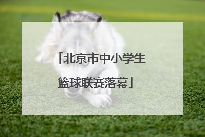 北京市中小学生篮球联赛落幕