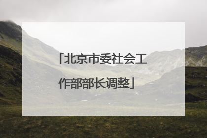 北京市委社会工作部部长调整