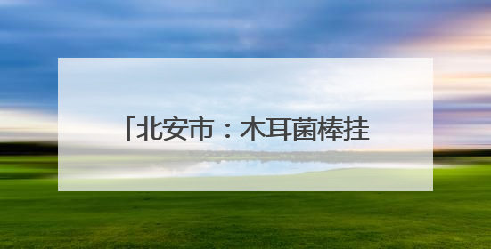 北安市：木耳菌棒挂袋忙 奋进正当时