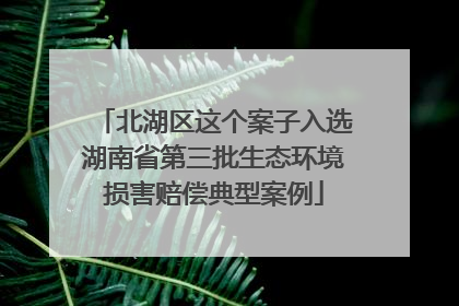 北湖区这个案子入选湖南省第三批生态环境损害赔偿典型案例