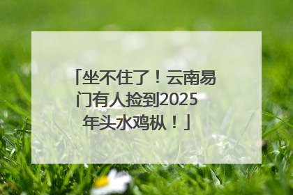 坐不住了！云南易门有人捡到2025年头水鸡枞！