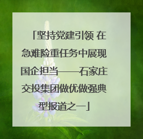 坚持党建引领 在急难险重任务中展现国企担当——石家庄交投集团做优做强典型报道之一