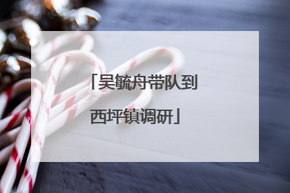 吴毓舟带队到西坪镇调研