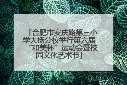 合肥市安庆路第三小学大杨分校举行第六届“和美杯”运动会暨校园文化艺术节