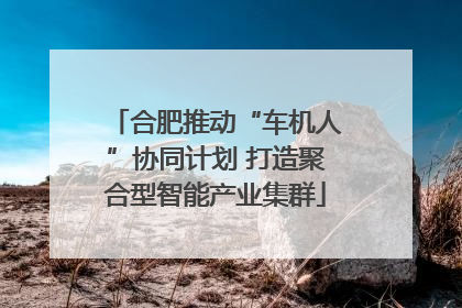 合肥推动“车机人”协同计划 打造聚合型智能产业集群