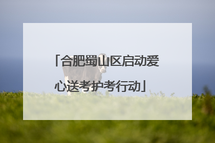 合肥蜀山区启动爱心送考护考行动