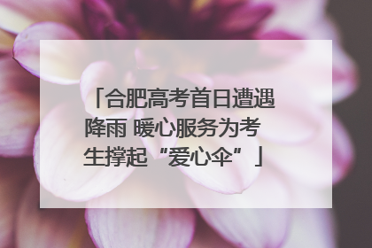 合肥高考首日遭遇降雨 暖心服务为考生撑起“爱心伞”