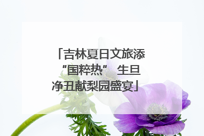 吉林夏日文旅添“国粹热” 生旦净丑献梨园盛宴