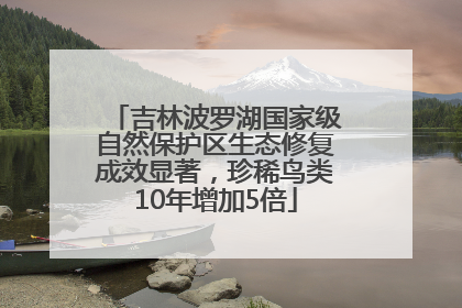 吉林波罗湖国家级自然保护区生态修复成效显著，珍稀鸟类10年增加5倍