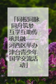 同根同脉同舟筑梦 互学互助传承共融——河西区举办津台青少年国学交流活动