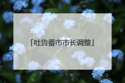 吐鲁番市市长调整