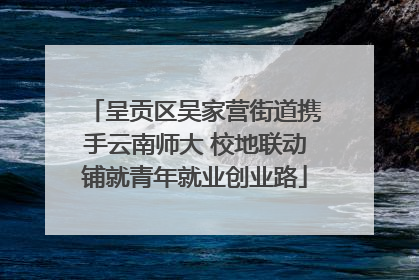 呈贡区吴家营街道携手云南师大 校地联动铺就青年就业创业路