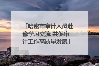 哈密市审计人员赴豫学习交流 共促审计工作高质量发展