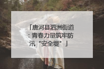 唐河县泗洲街道：青春力量筑牢防汛“安全堤”