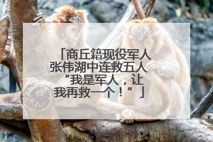商丘籍现役军人张伟湖中连救五人 “我是军人，让我再救一个！”