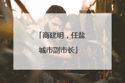 商建明，任盐城市副市长