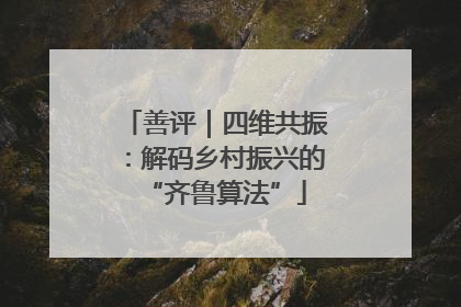 善评｜四维共振：解码乡村振兴的“齐鲁算法”