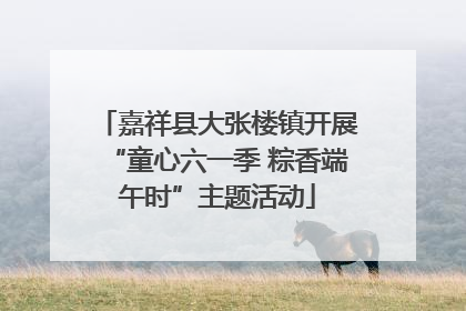 嘉祥县大张楼镇开展“童心六一季 粽香端午时”主题活动