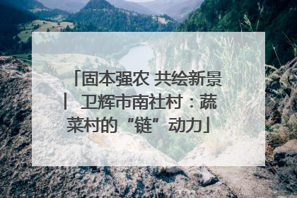 固本强农 共绘新景 ︳卫辉市南社村：蔬菜村的“链”动力