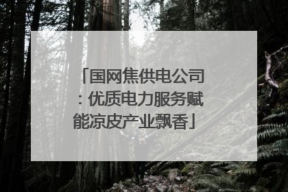 国网焦供电公司：优质电力服务赋能凉皮产业飘香