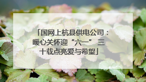 国网上杭县供电公司：暖心关怀迎“六一” 三十载点亮爱与希望